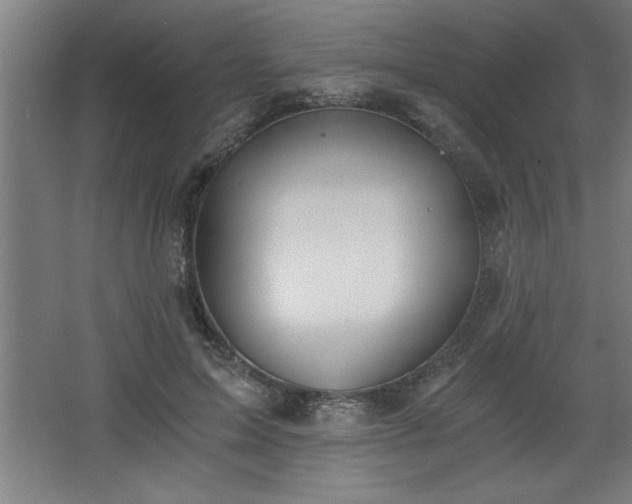 X0000068260599200604281527