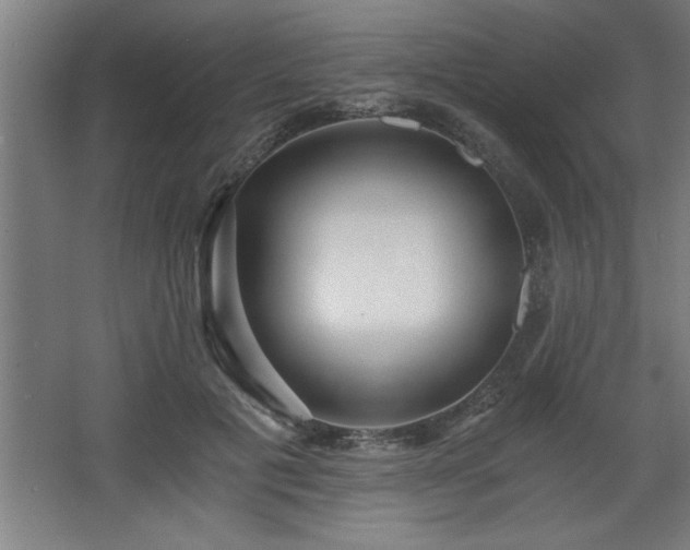 X0000068260601200604281527