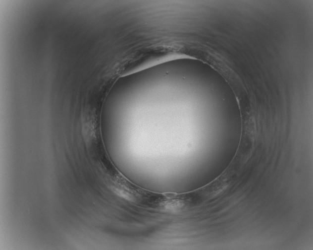 X0000068260604200604281527