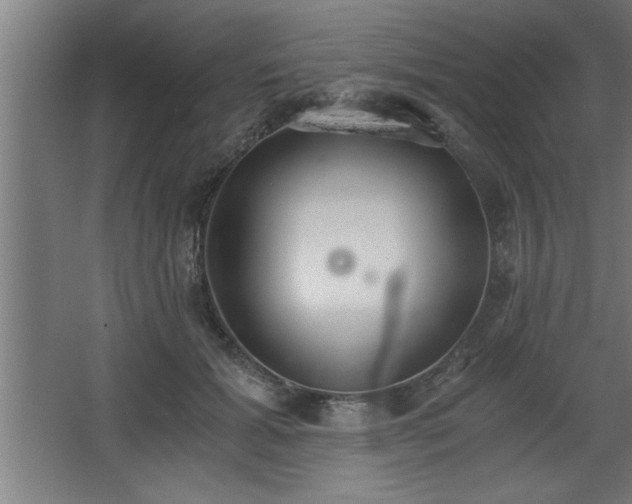 X0000068260605200604281527