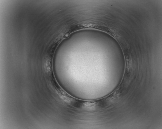 X0000068260606200604281527