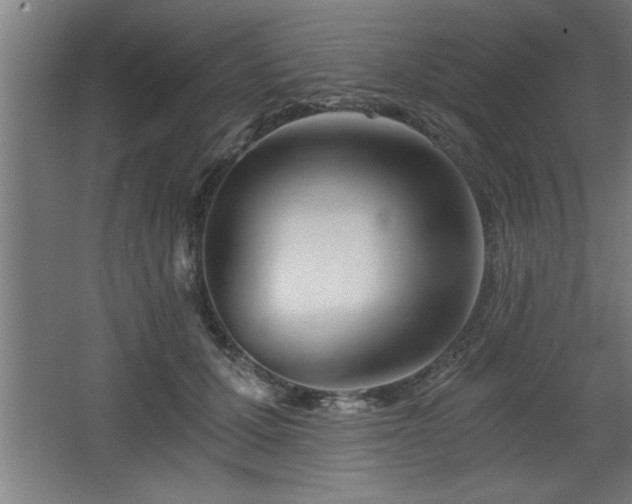 X0000068260607200604281527