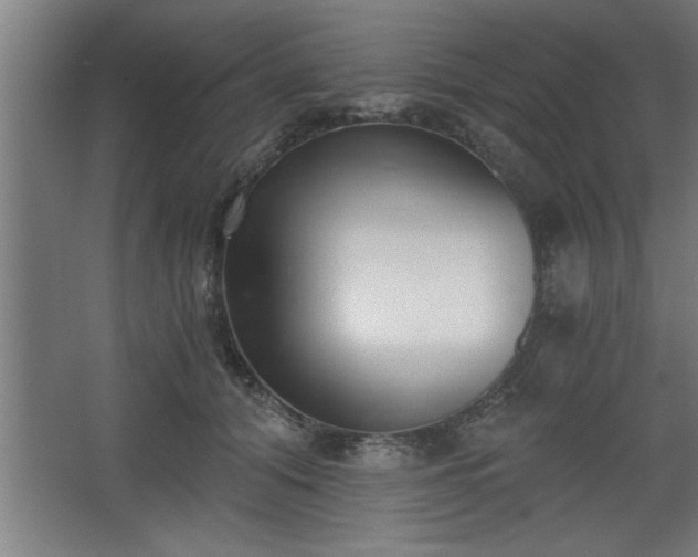 X0000068260608200604281527