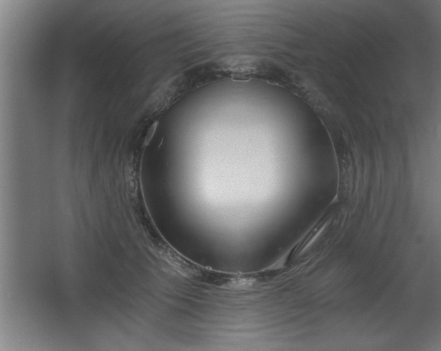 X0000068260609200604281527