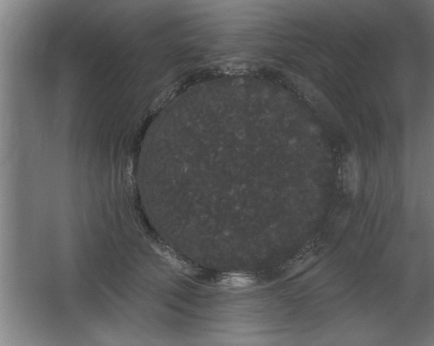 X0000068260610200604281527