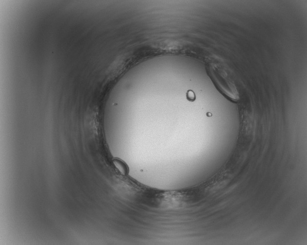 X0000068260612200604281527