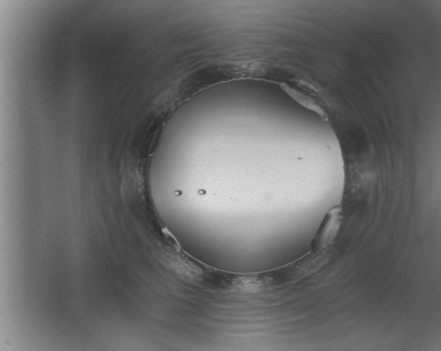 X0000068260613200604281527