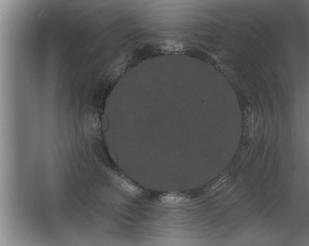 X0000068260614200604281527