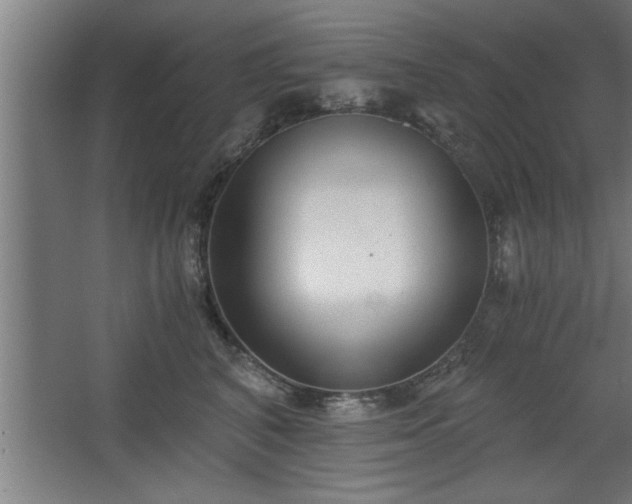 X0000068260616200604281527