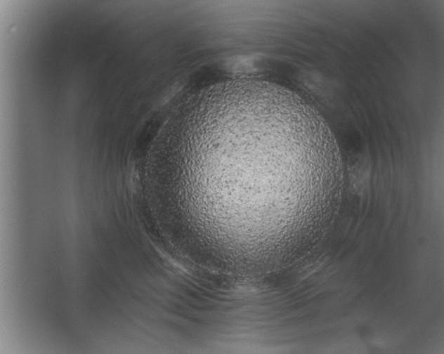 X0000068260618200604281527