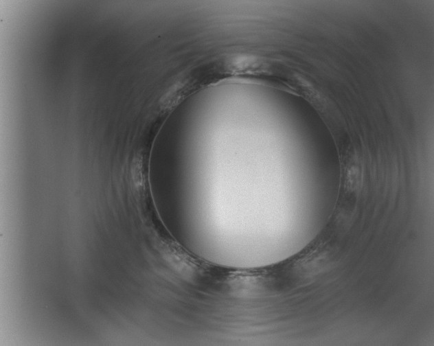 X0000068260620200604281527