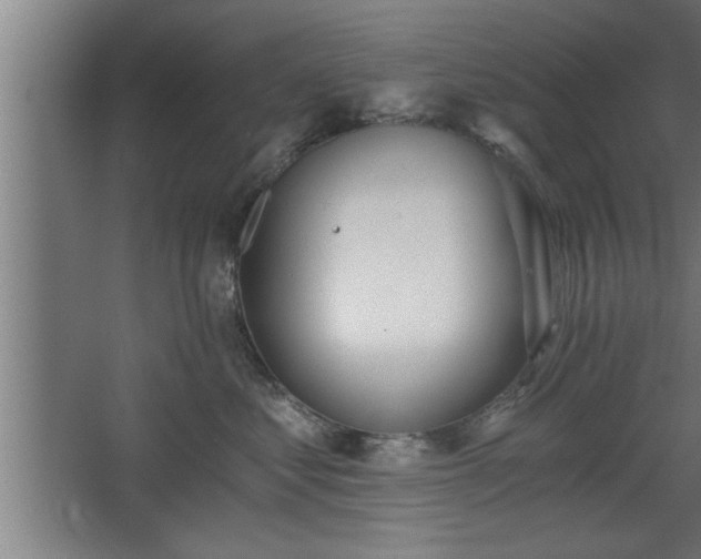 X0000068260621200604281527