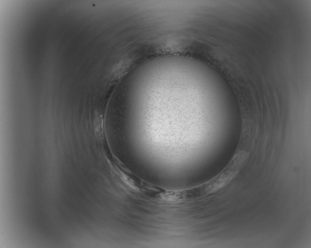 X0000068260624200604281527