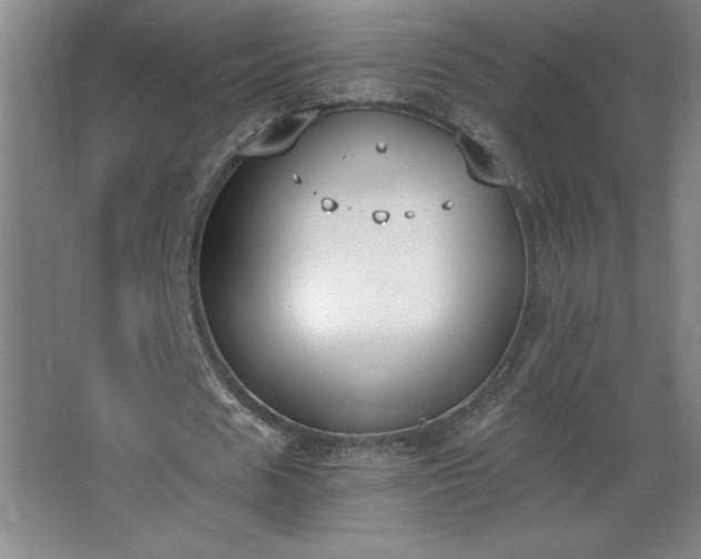 X0000068260625200604281526