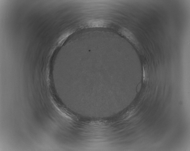 X0000068260627200604281526