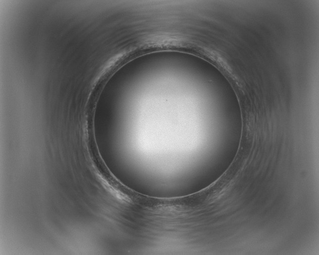 X0000068260629200604281526