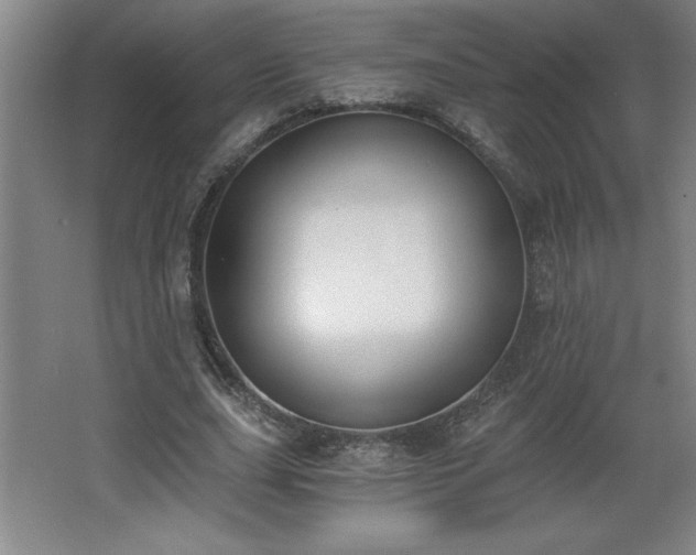 X0000068260631200604281526