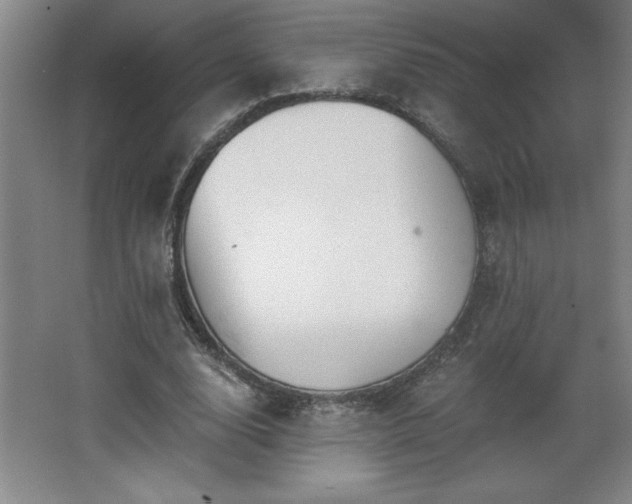 X0000068260632200604281526