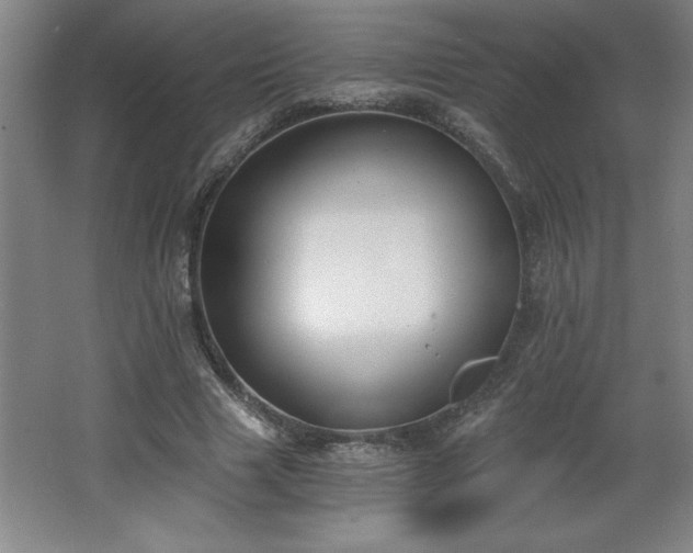 X0000068260633200604281526