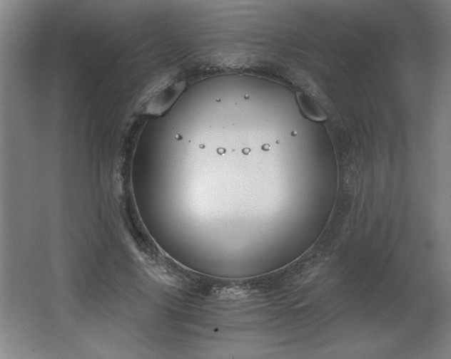 X0000068260635200604281526