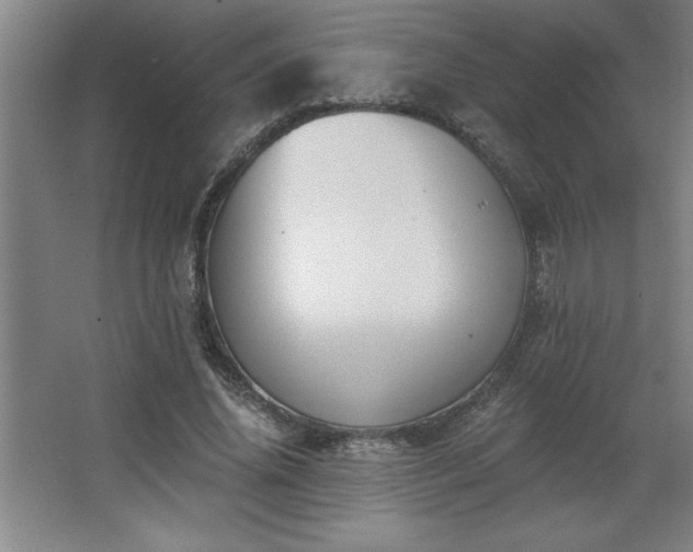 X0000068260636200604281526