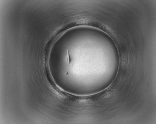 X0000068260637200604281526