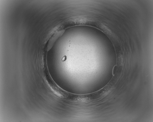 X0000068260638200604281526