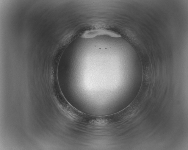 X0000068260639200604281526