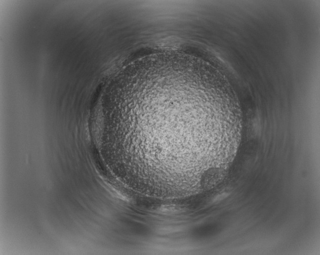 X0000068260641200604281527