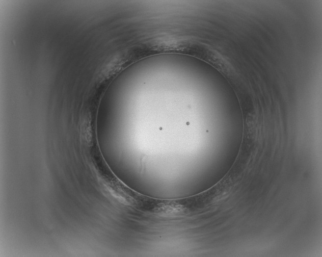 X0000068260642200604281527