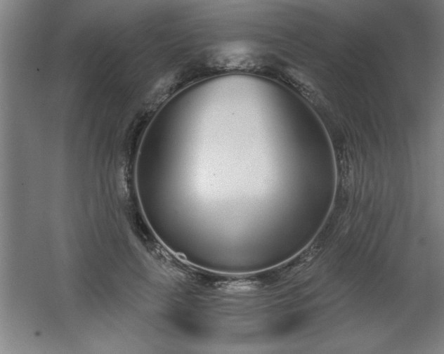 X0000068260643200604281527