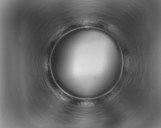 X0000068260644200604281527