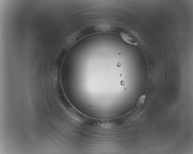 X0000068260645200604281527