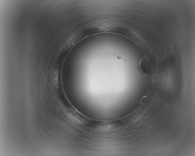 X0000068260646200604281527