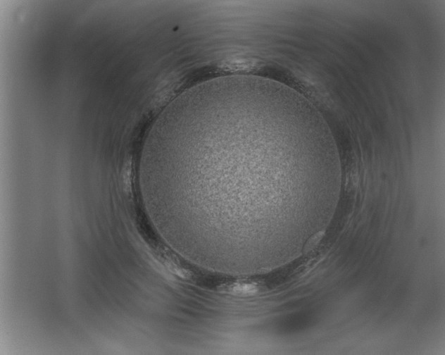 X0000068260647200604281527