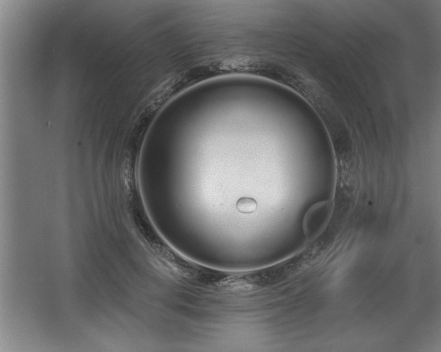 X0000068260648200604281527