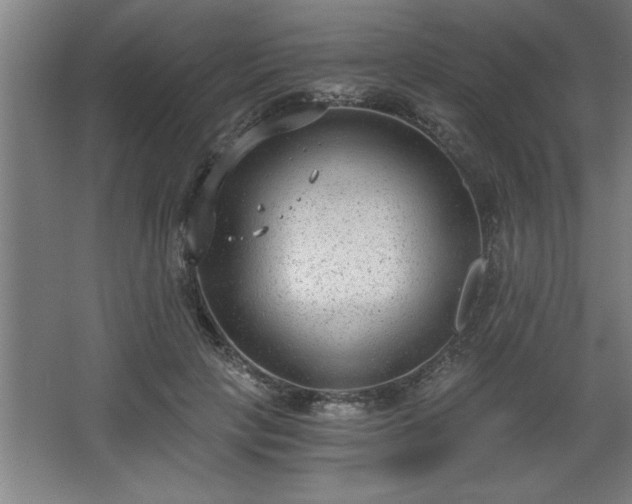 X0000068260649200604281527