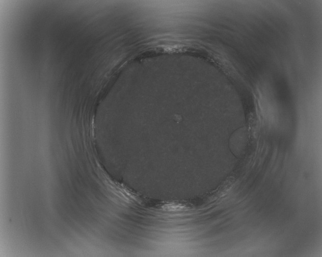 X0000068260650200604281527