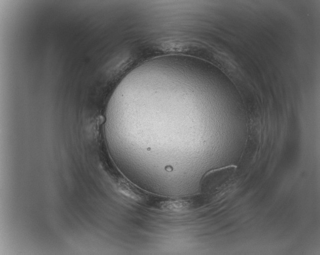 X0000068260652200604281527