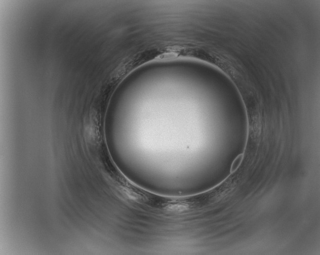 X0000068260653200604281527