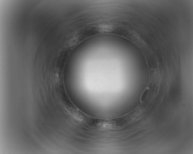 X0000068260655200604281527