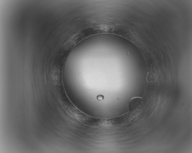 X0000068260656200604281527