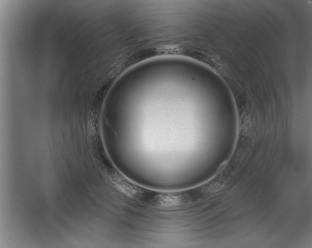 X0000068260658200604281527