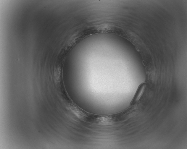 X0000068260660200604281527