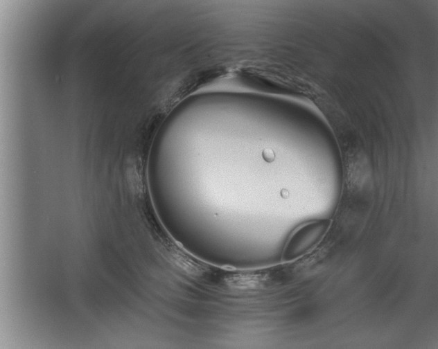 X0000068260661200604281527