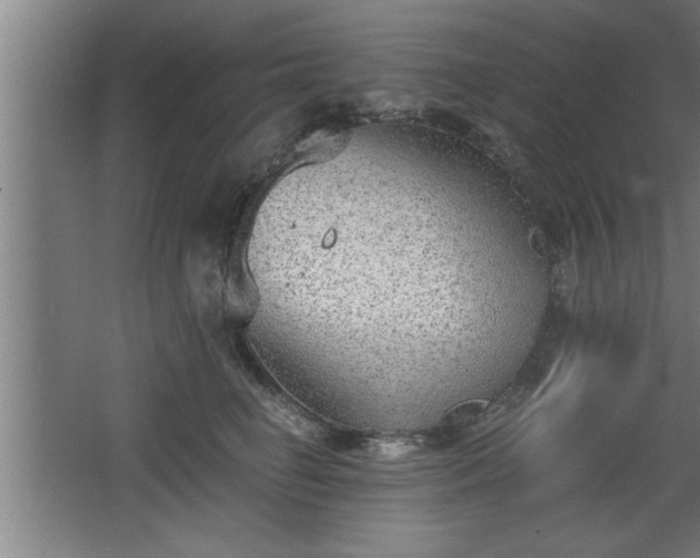 X0000068260662200604281527