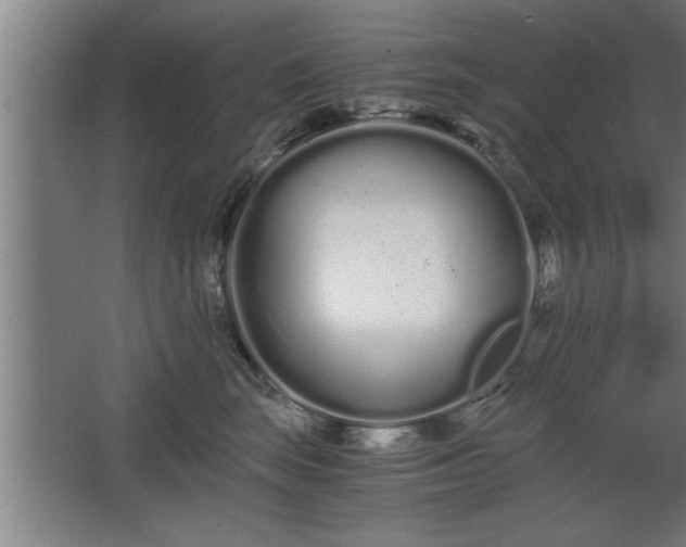 X0000068260663200604281527