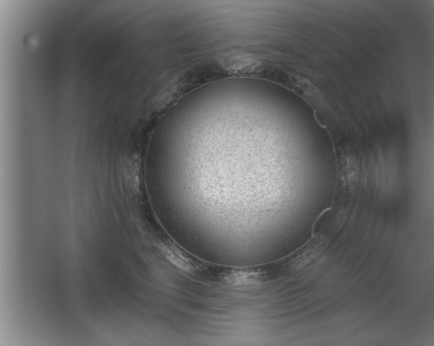 X0000068260664200604281527