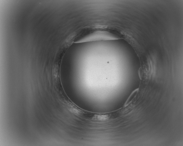 X0000068260665200604281527