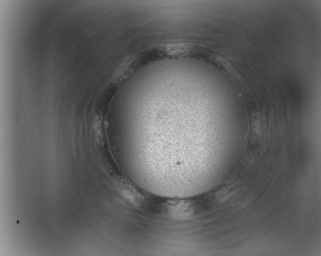 X0000068260667200604281527